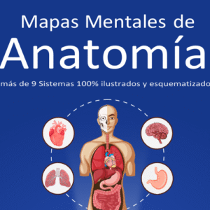 ANATOMÍA ILUSTRADA